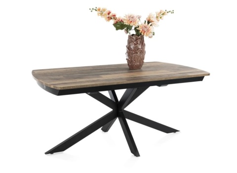 [M] Stół Henders& Hazel Pavalon 170+ 60 x 100 cm Driftwood